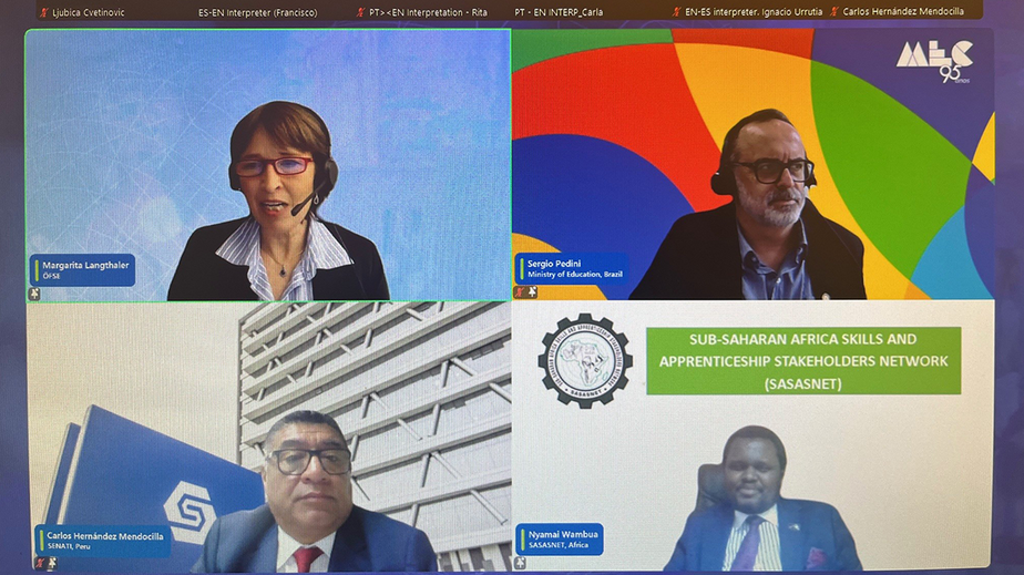 Scrennshot vom Webinar Scrennshot vom Webinar