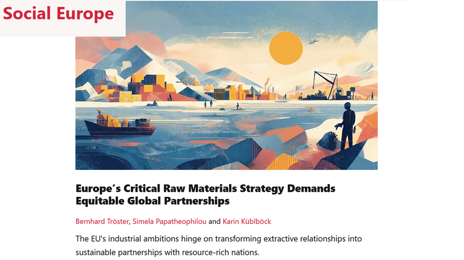 screenshot des Gastbeitrages screenshot des Gastbeitrages auf Social Europe